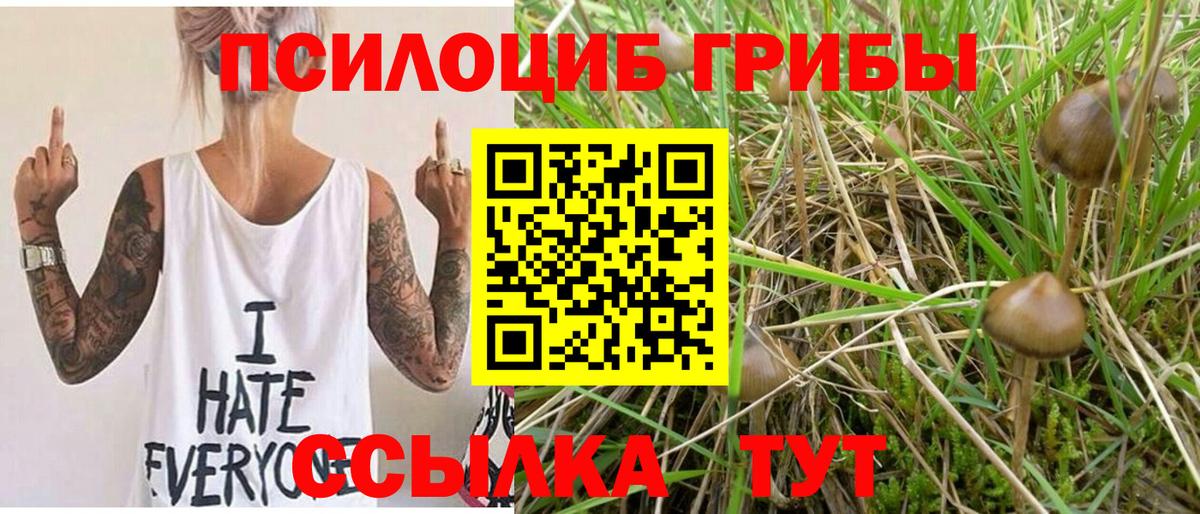 Кушва  Галлюциногенные грибы прущие грибы  где продают наркотики  Вход с VPN  Галлюциногенные грибы Psilocybe 